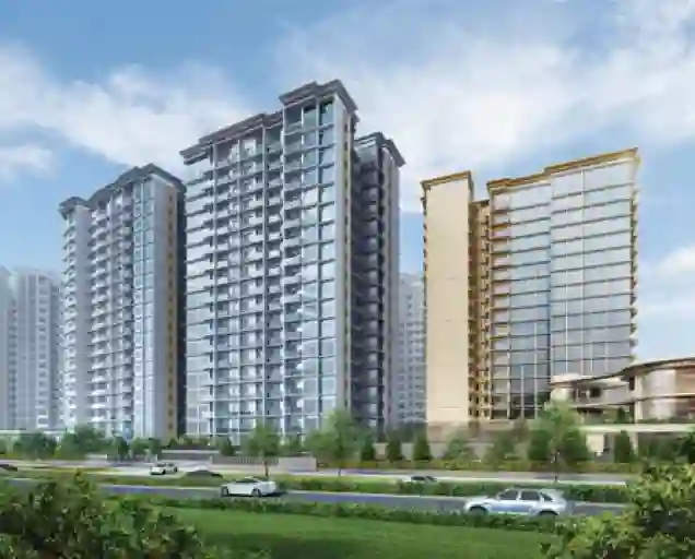 Grand Dunman 名门世家